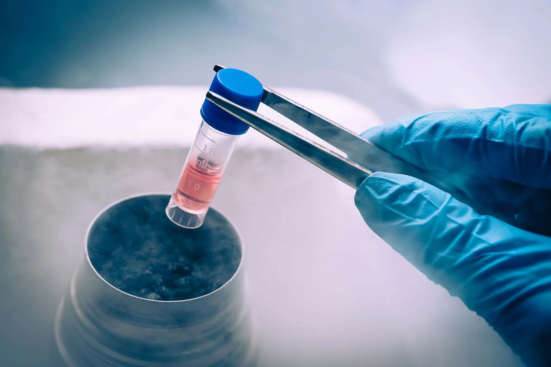 Criopreservação de óvulos em laboratório de reprodução assistida