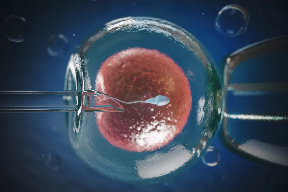 Procedimento de fertilização in vitro em laboratório